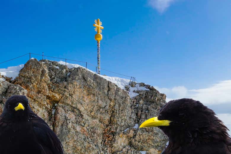 Hike to the Golden Cross